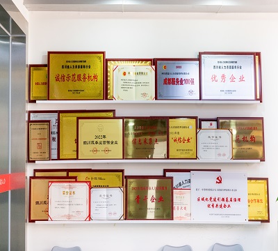 RG皇家视讯简介